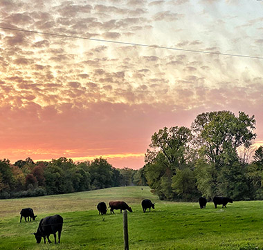 Beautiful Sunset