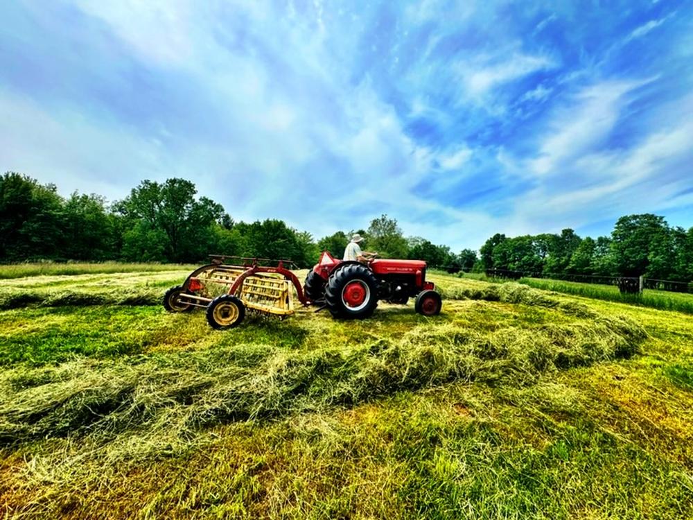 Marv raking hay at Orchard Hill farm