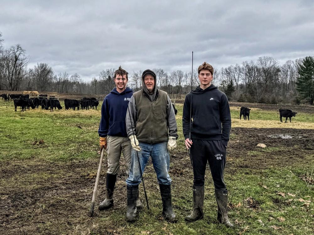 Marvin and the boys in the pasture with the herd